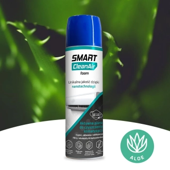 CleanAir Foam  Aloe 250ml